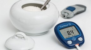 Mini-Pankreas produziert eigenständig Insulin