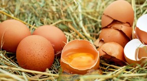 Der Verzehr von Eiern bringt wertvolle Nährwerte
