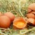 Der Verzehr von Eiern bringt wertvolle Nährwerte